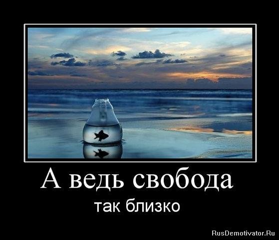 Свобода демотиваторы