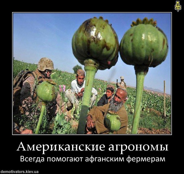 Демотиваторы Афганистан