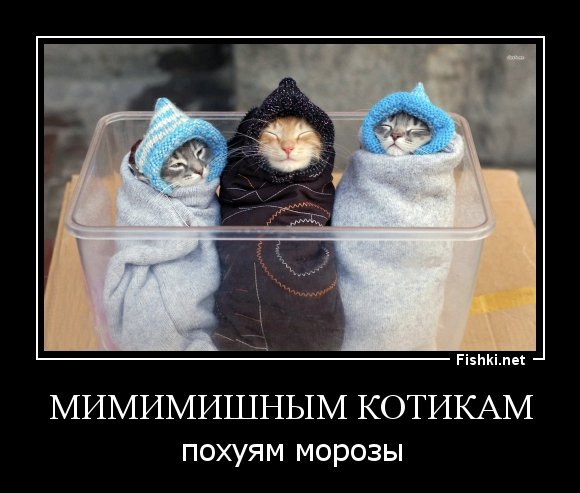 Демотиваторы про Холодное лето