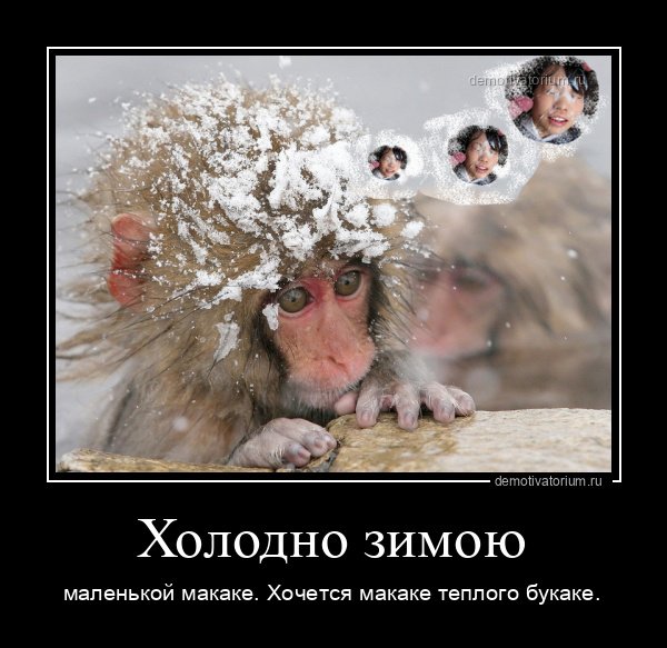 Шутки про зиму