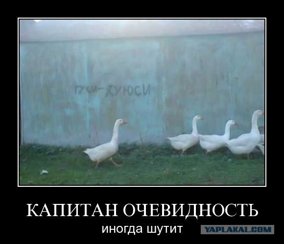 Гусь Мем
