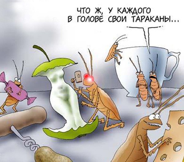 Тараканы в голове приколы