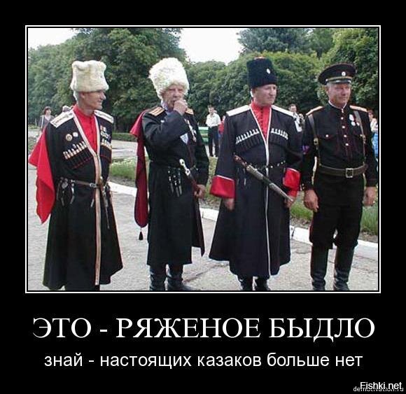 Демотиваторы казачество