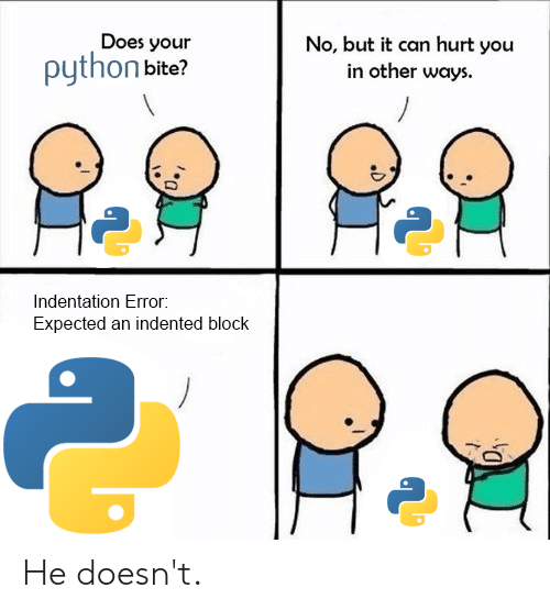 Мемы про питон язык программирования
