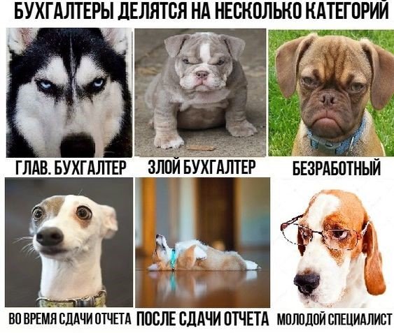 Шутки про бухгалтерию