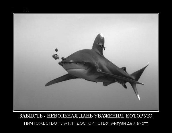 Зависть демотиватор