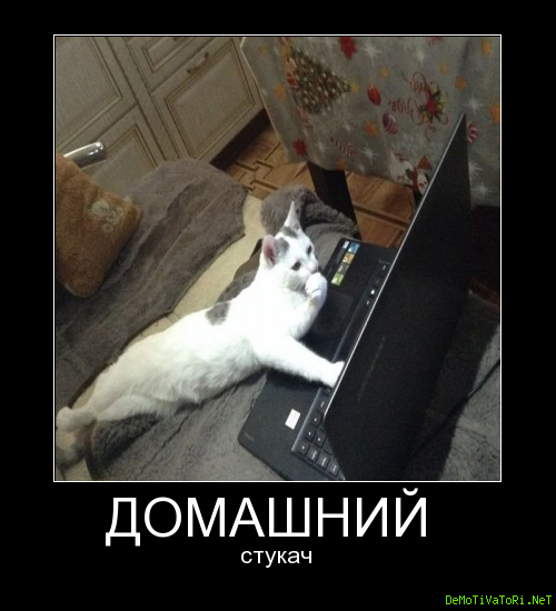 Доносчики и стукачи