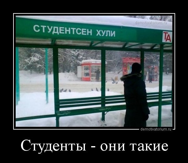 У нас тут своя атмосфера демотиватор