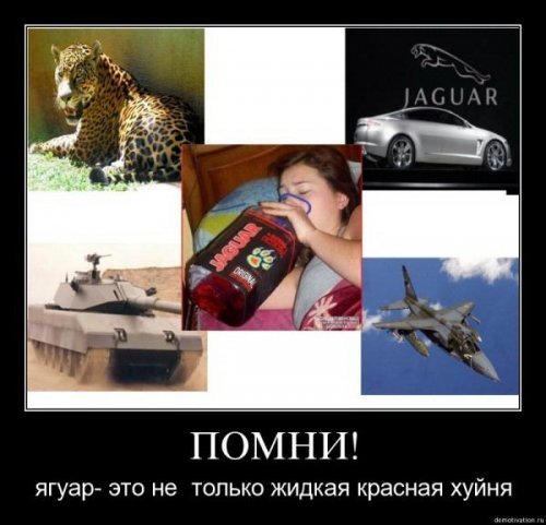 Шутки про Ягуар