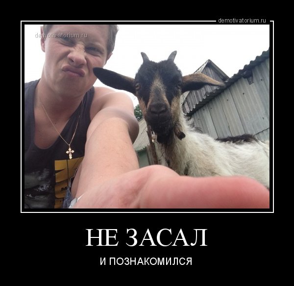«Коза пресс» демотиваторы