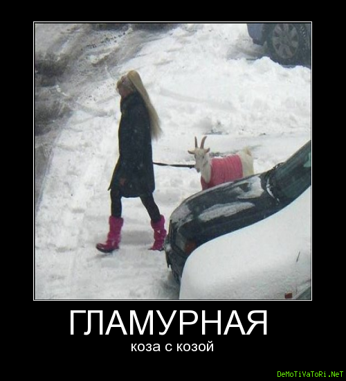Черная гламурная коза