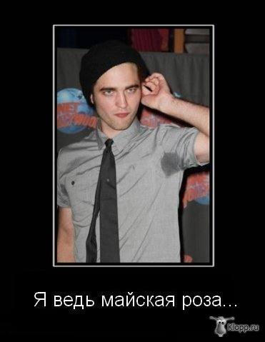 Демотиватор братство
