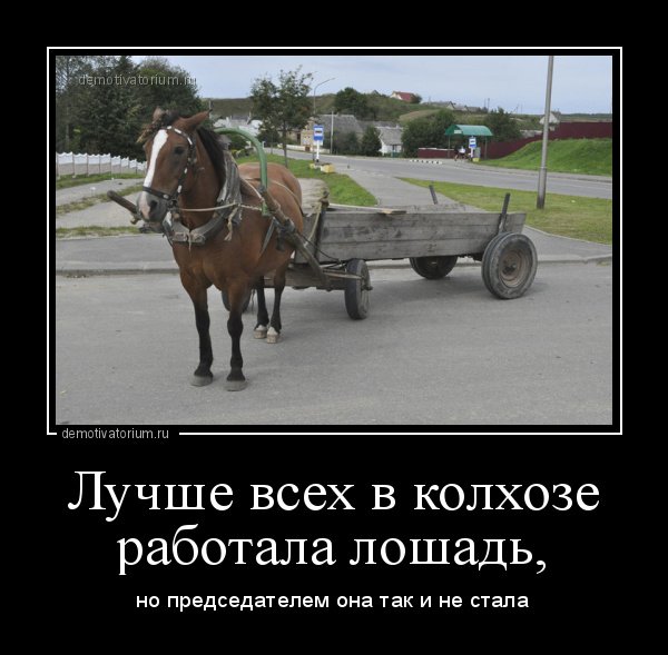 Лучше всех в колхозе работала лошадь