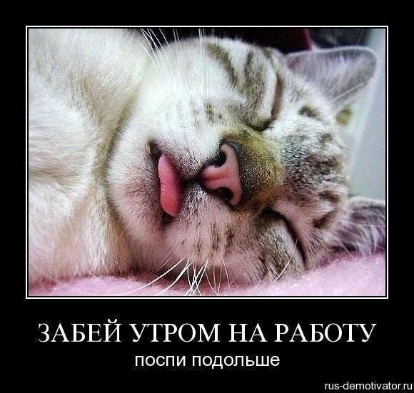Демотиватор демотиватор спать (47 фото)