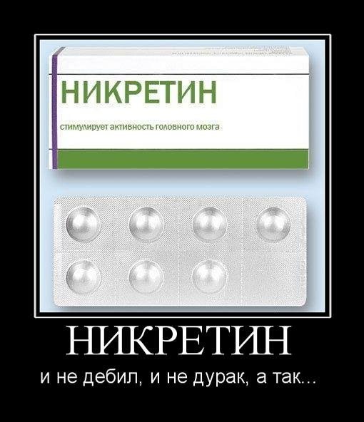 Я дурак демотиватор