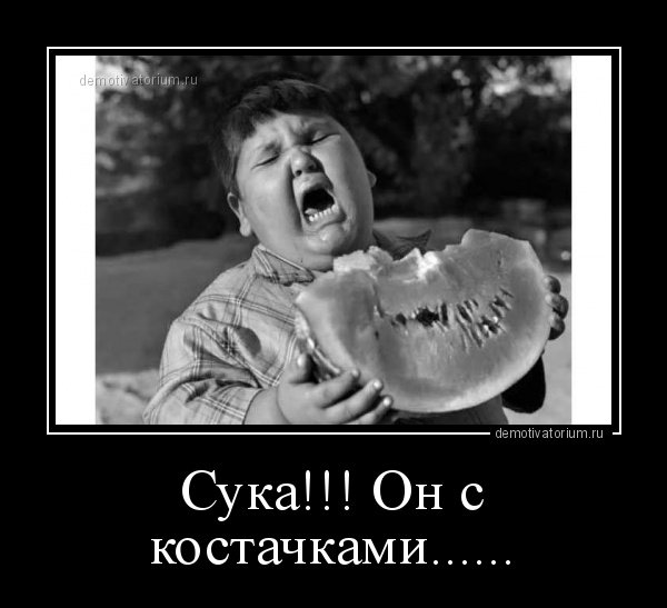 Демотиватор старый сука