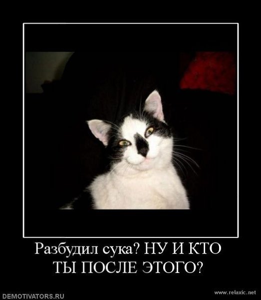 Демотиваторы сука жизнь