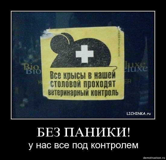Смешные фразы про панику
