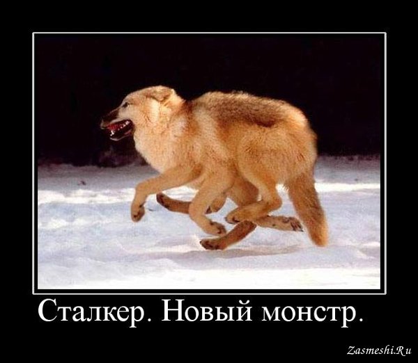 Школота демотиватор