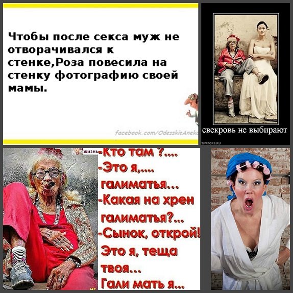 Приколы про свекровь