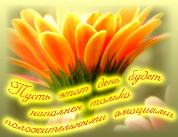 Открытка позитива на весь день