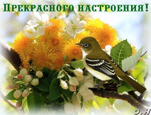 Пожелания хорошего самочувствия и настроения