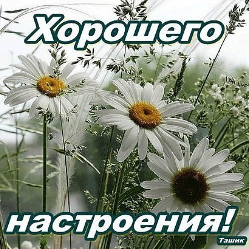 Хорошего четверга и отличного настроения