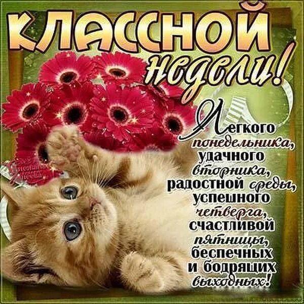 Открытки удачной недели