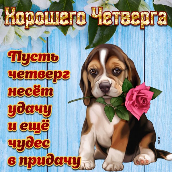 Поздравления с днём четверга