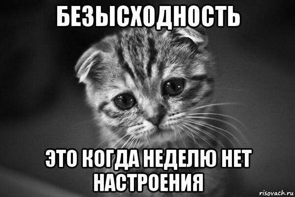 Настроение ноль