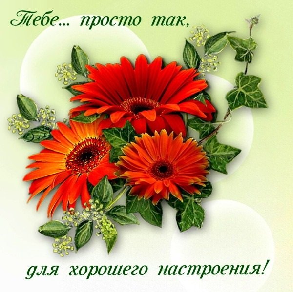 Открытки просто так для настроения