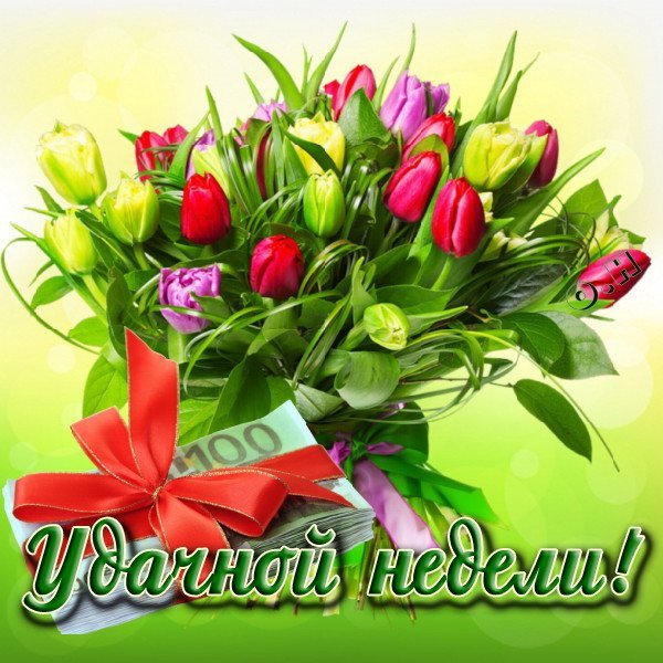 Доброе утро понедельника тюльпаны