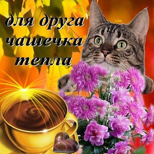 Открытка "хорошего настроения"