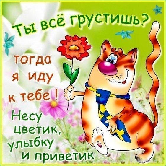 Открытка не грусти улыбнись