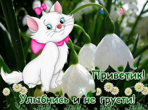 Улыбнись ведь улыбка светлее печали