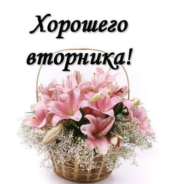 Доброе утро удачного вторника