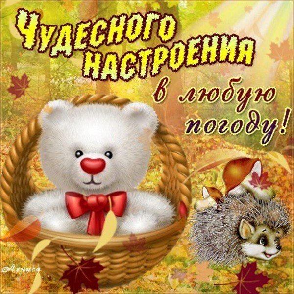 Открытки с пожеланиями хорошего дня