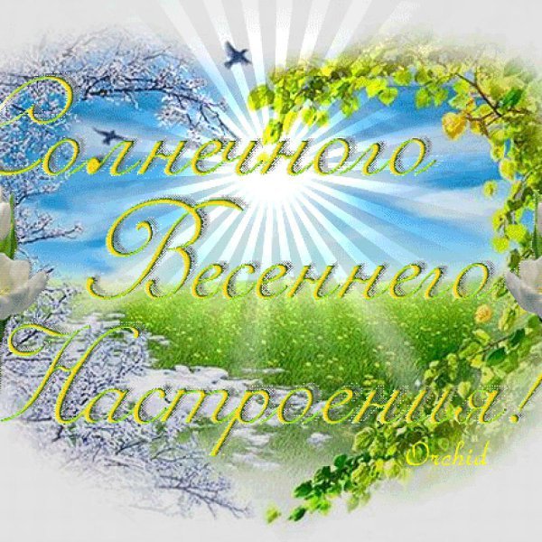 Доброго весеннего дня