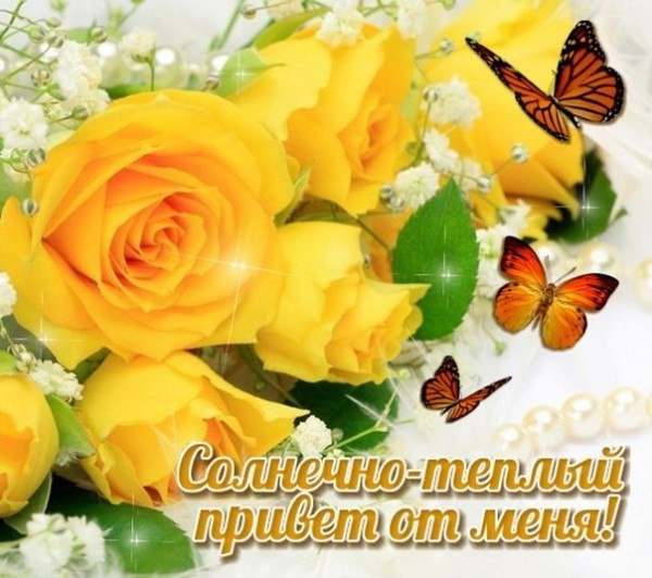 Солнечного дня и отличного настроения