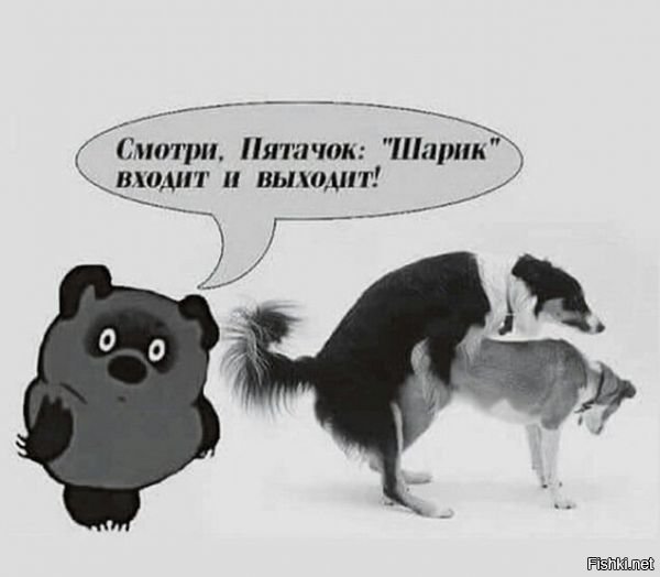Смешные надписи для поднятия настроения