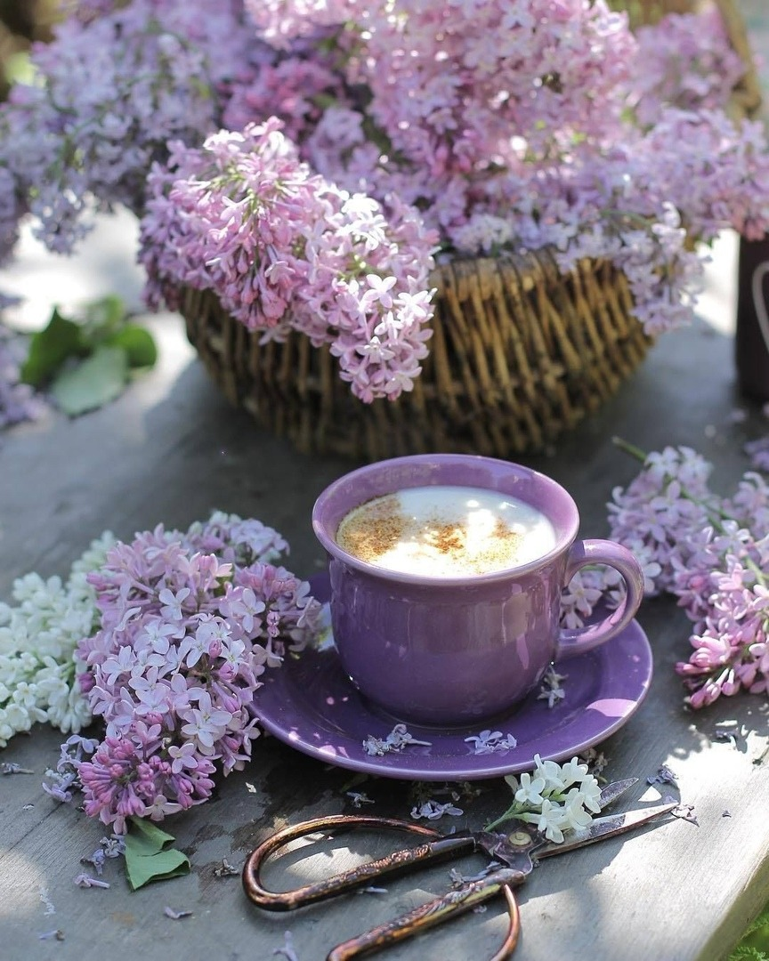 Удивительного утра картинки. Весеннее чаепитие. Доброе Весеннее утро. Цветы в чашке.