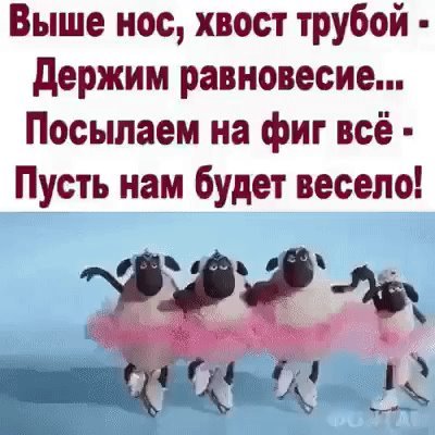 Выше нос