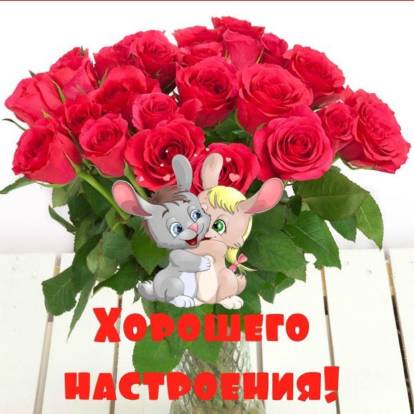 Подруге цветы для настроения