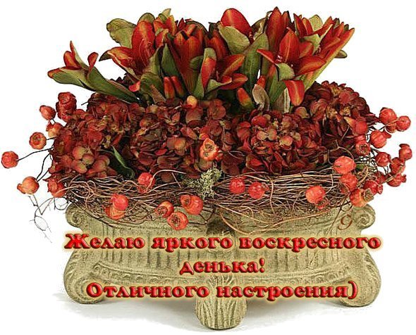 Хорошего воскресенья и отличного настроения