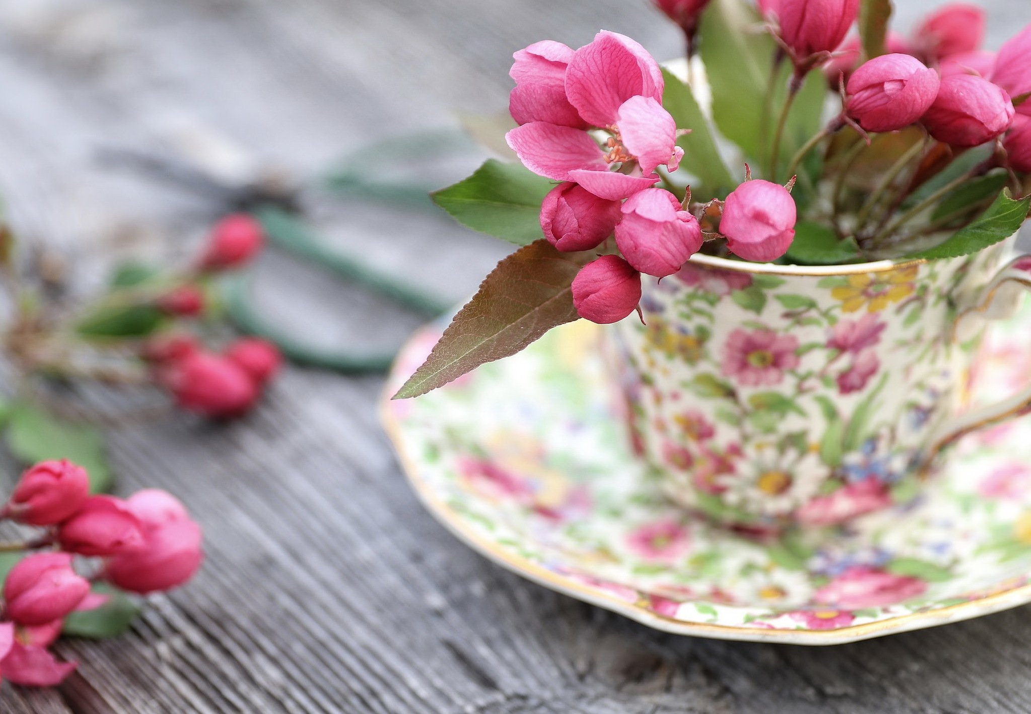 Хорошего весеннего дня стильные. Цветы в кружке. Весенние цветы в чашке. Нежные весенние цветы.