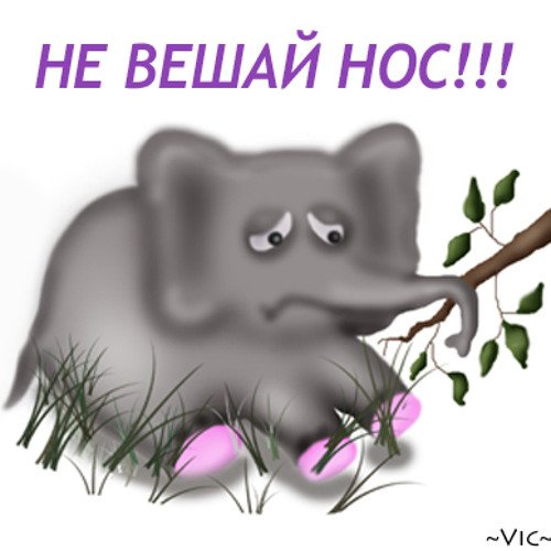 Не вешай нос