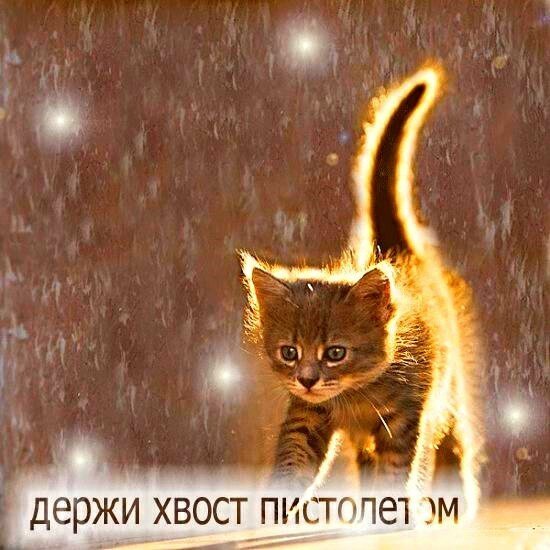 Хвост пистолетом