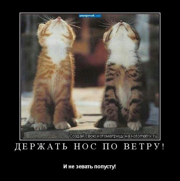 Лев Бартенев пушистики