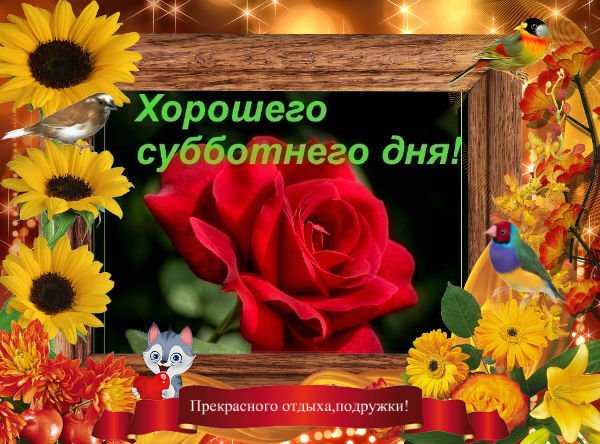 Хорошего субботнего дня