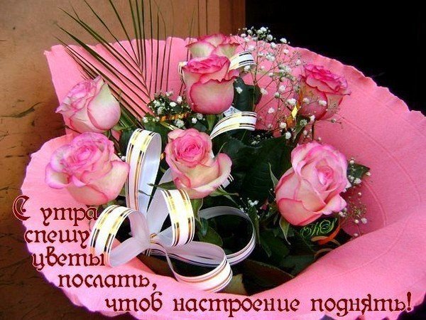 Красивые цветы женщине для настроения